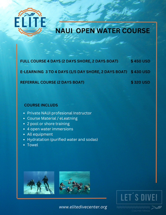 Naui Open Water Course (OW)